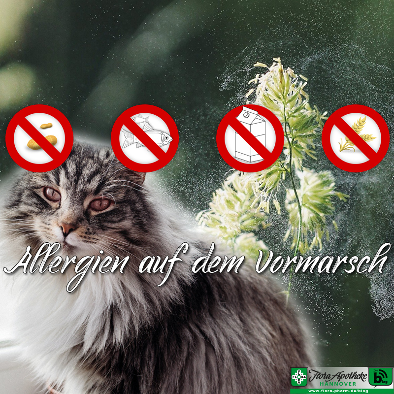 Allergien auf dem Vormarsch