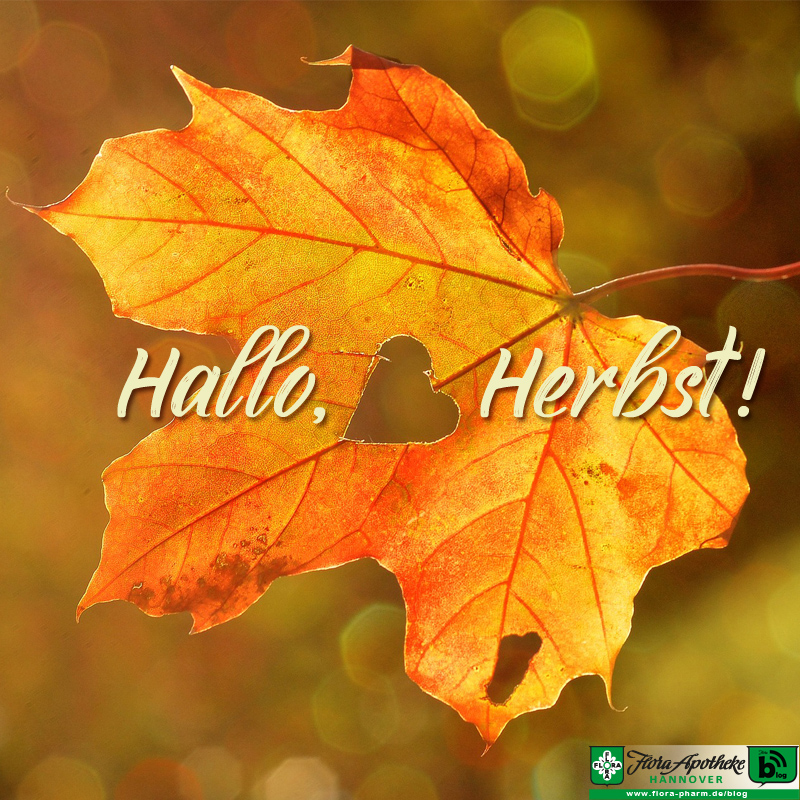 Hallo Herbst