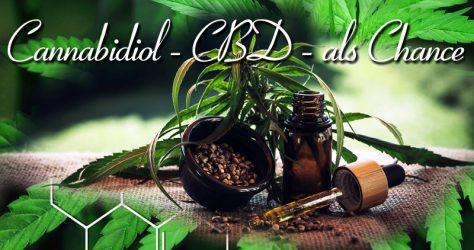 Cannabidiol CBD als Chance