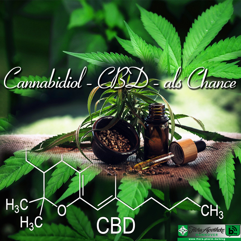 Cannabidiol CBD als Chance