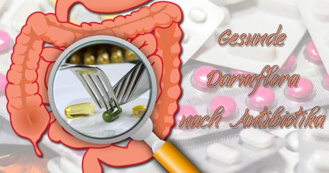 Gesunde Darmflora nach Antibiotika