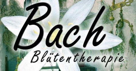 bachblueten therapie