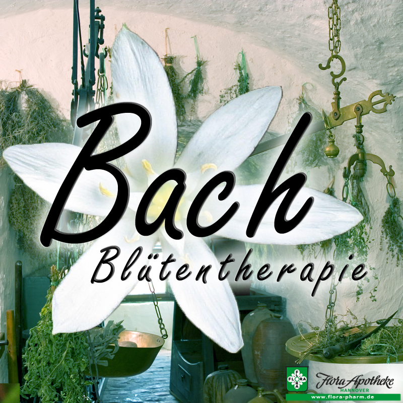 bachblueten therapie