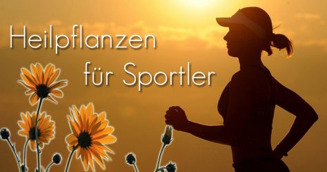 Heilpflanzen für Sportler