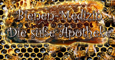 Bienen-Medizin, die süße Apotheke