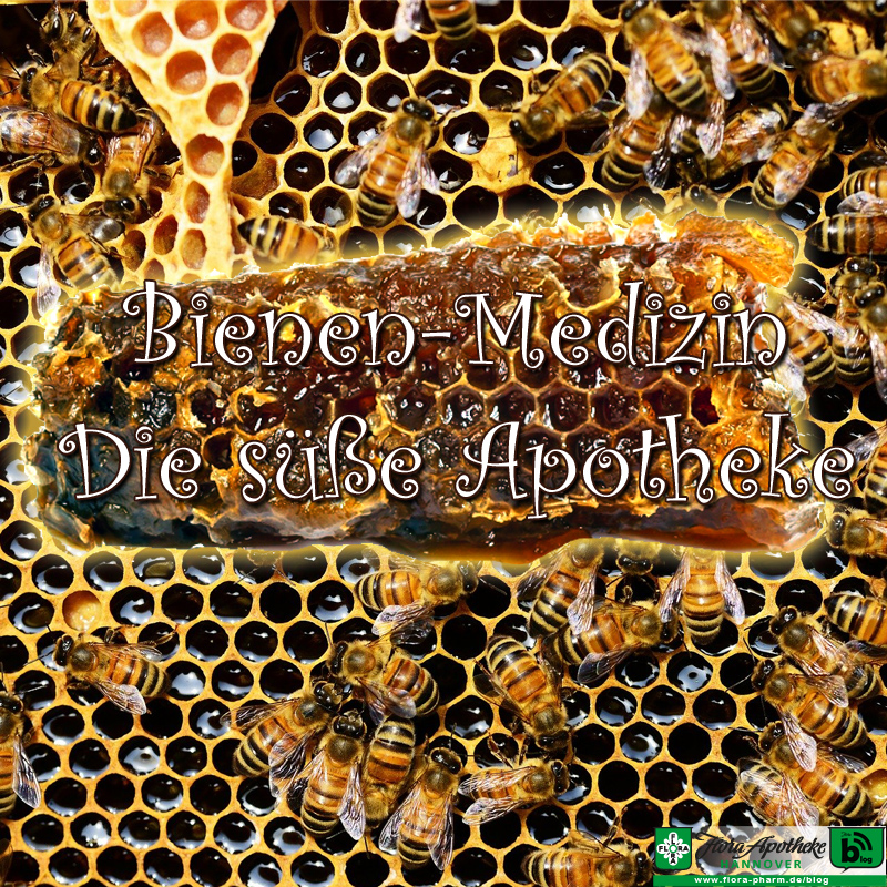Bienen-Medizin, die süße Apotheke