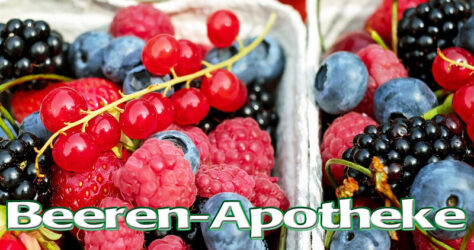 Beeren-Apotheke