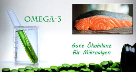 Omega-3 Mikroalgen