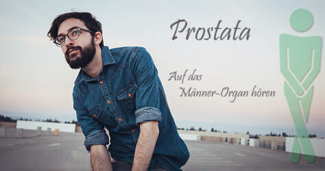 Prostata Männer-Organ