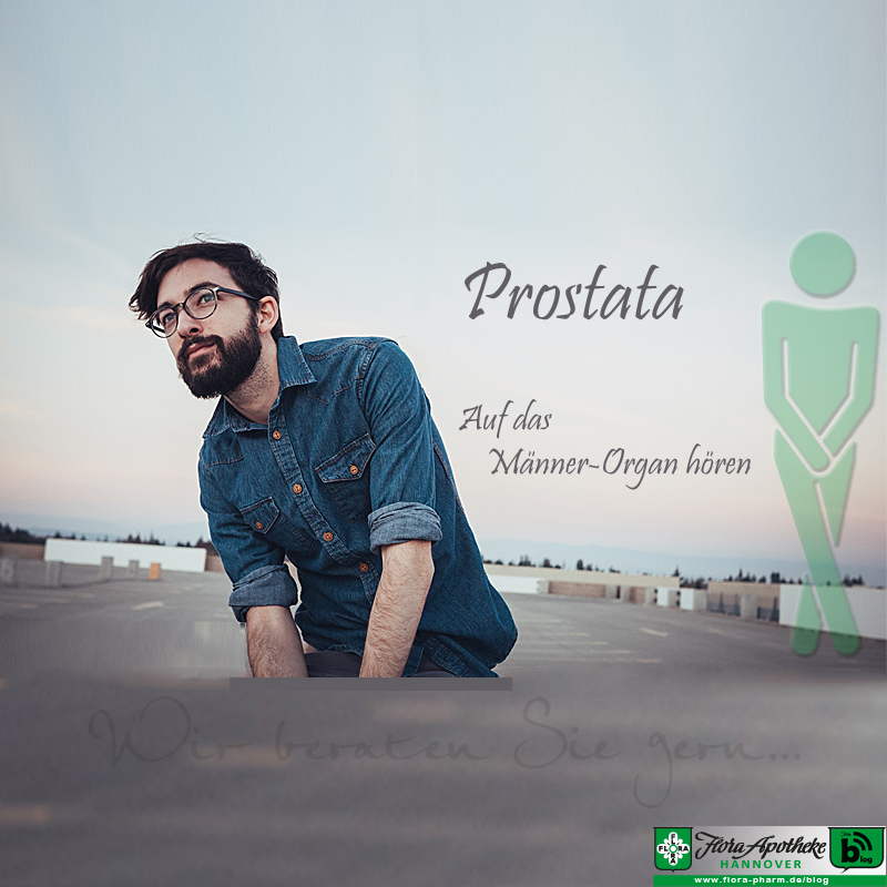 Prostata Männer-Organ