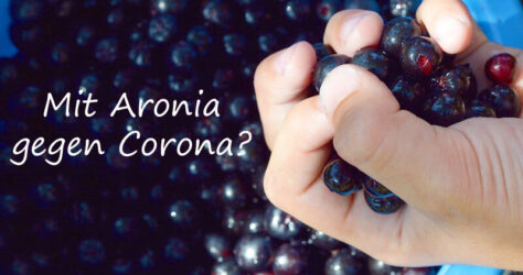 Aronia gegen Corona