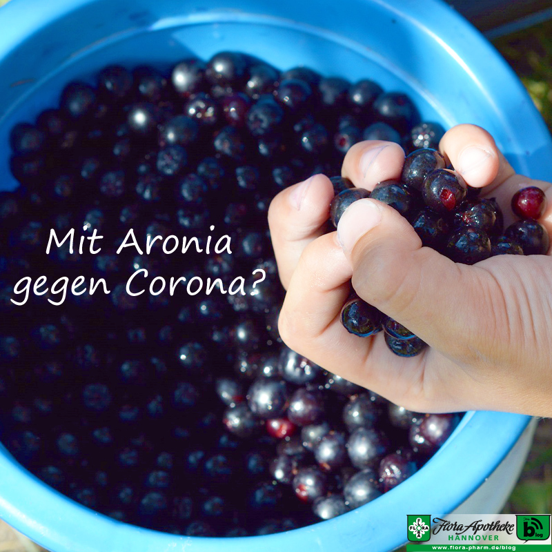 Aronia gegen Corona