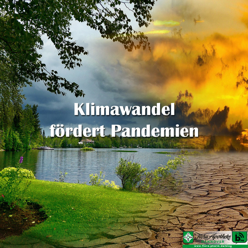 Klimawandel fördert Pandemien