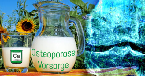 Osteoporose Vorsorge Kalzium