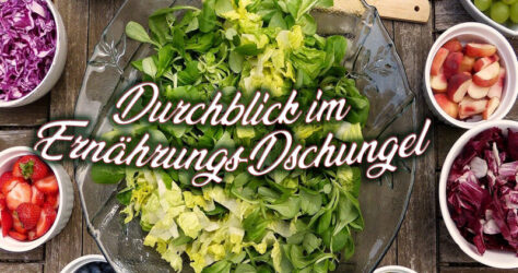 Durchblick im Ernährungs-Dschungel