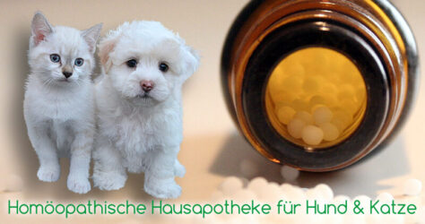 Homöopathische Hausapotheke für Hund und Katze