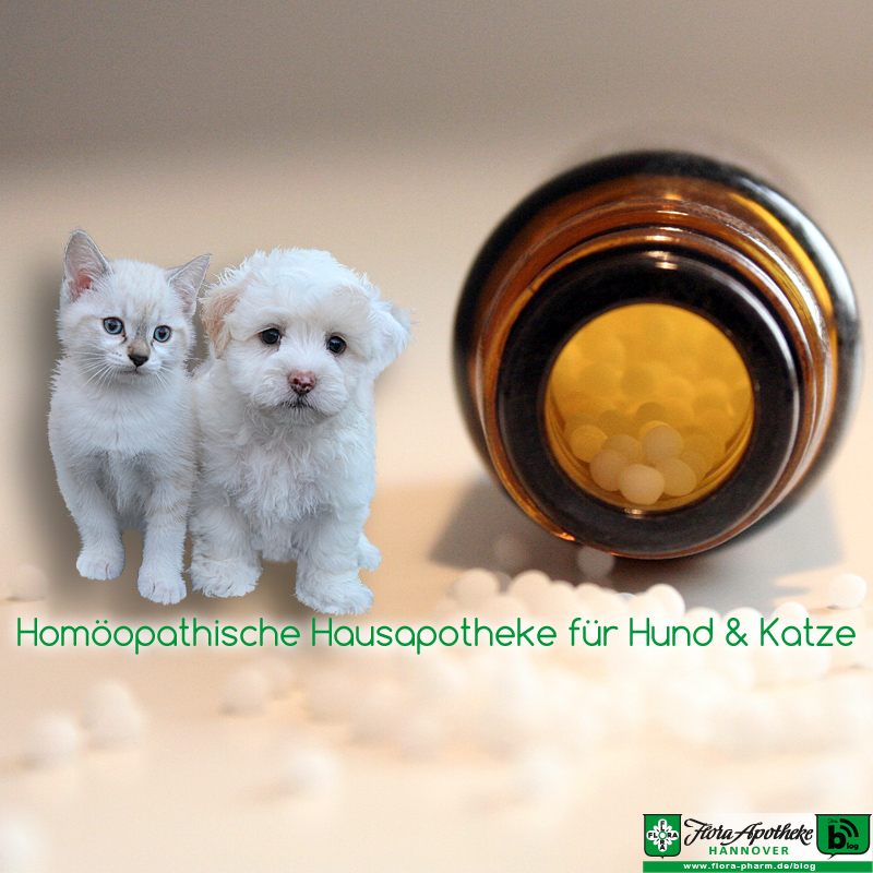 Homöopathische Hausapotheke für Hund und Katze