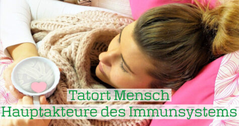 Hauptakteure des Immunsystems