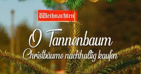 O Tannenbaum, Christbäume nachhaltig kaufen