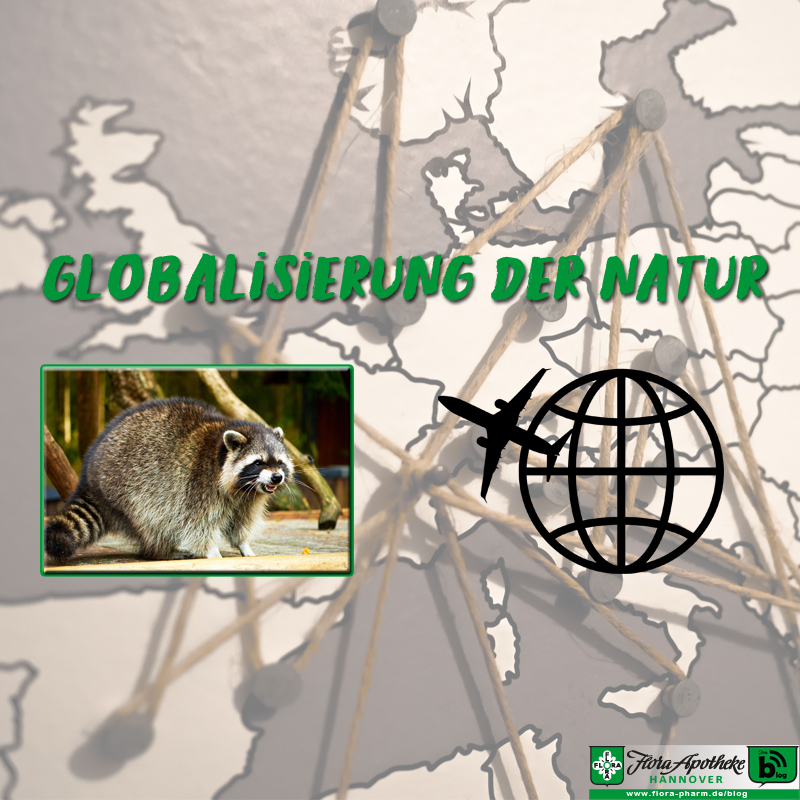 Globalisierung der Natur - Invasive Arten