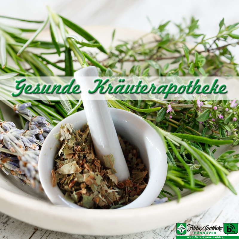 Gesunde Kräuterapotheke