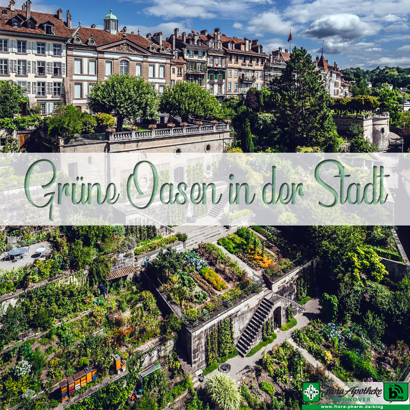 Grüne Oase - Stadt im Grünen