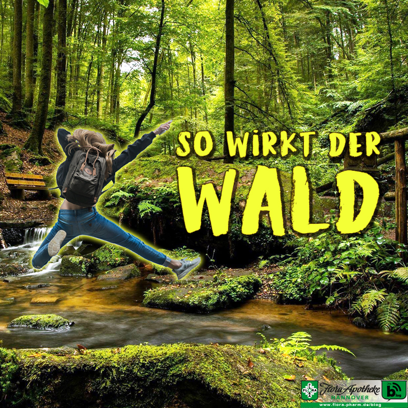 So wirkt der Wald