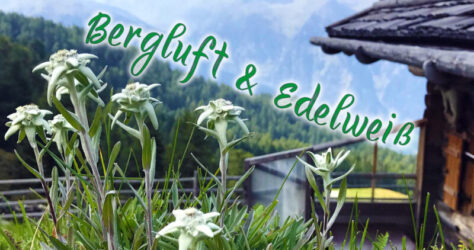 bergluft und edelweiss