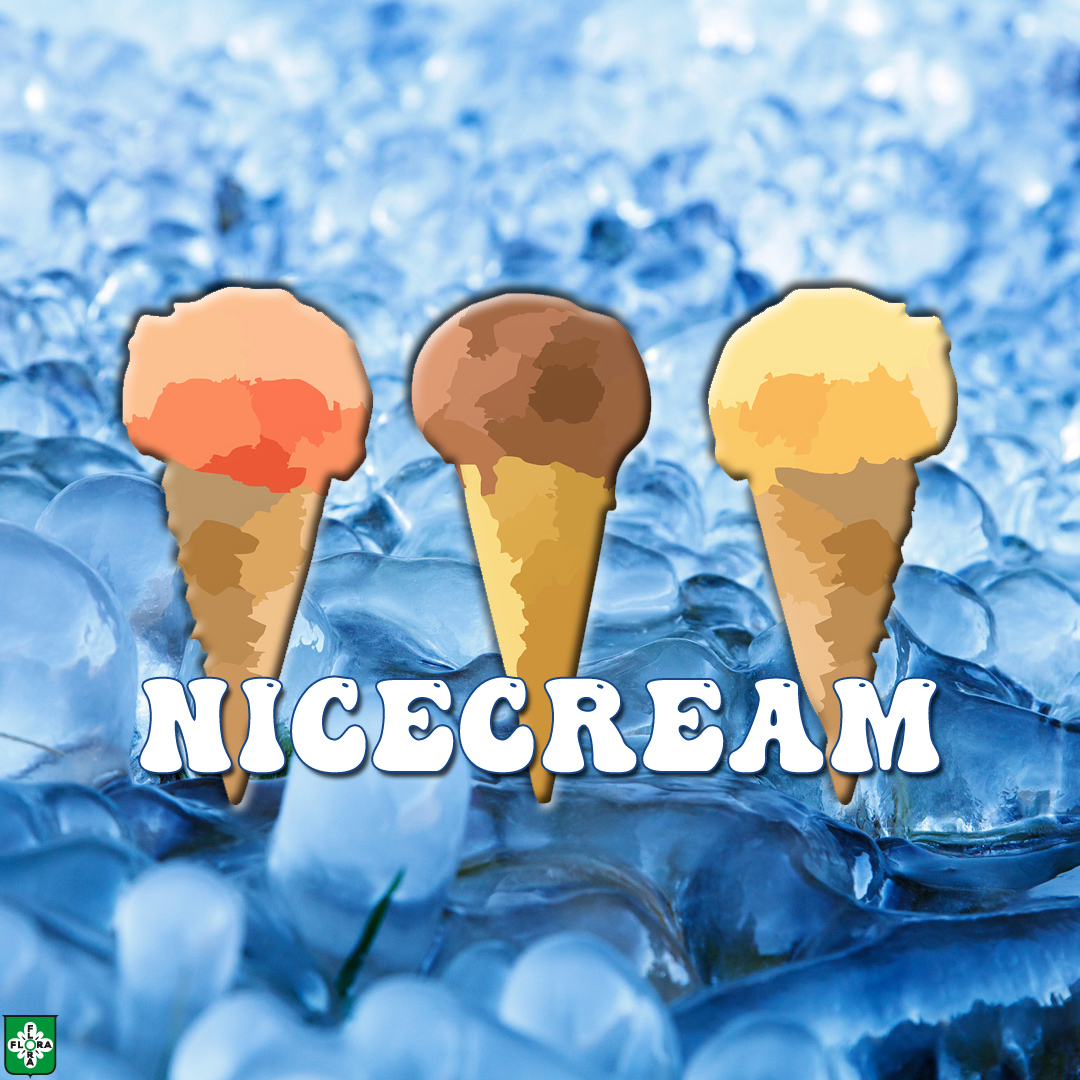 nicecream - vegane Eis-Alternativen