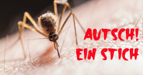 autsch, ein stich