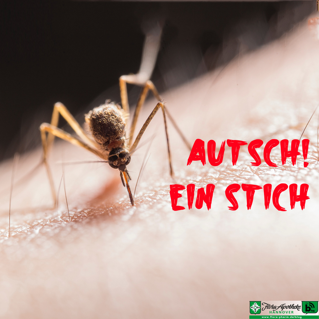 autsch, ein stich