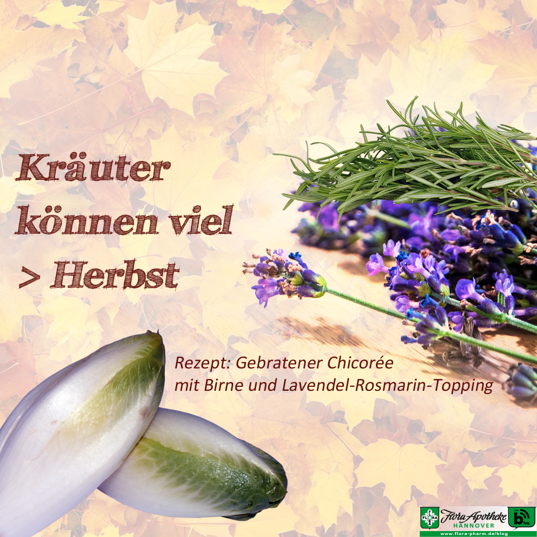 kräuter - herbst