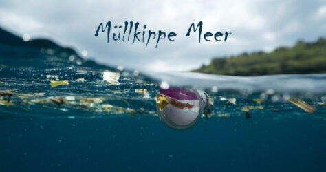 müllkippe meer