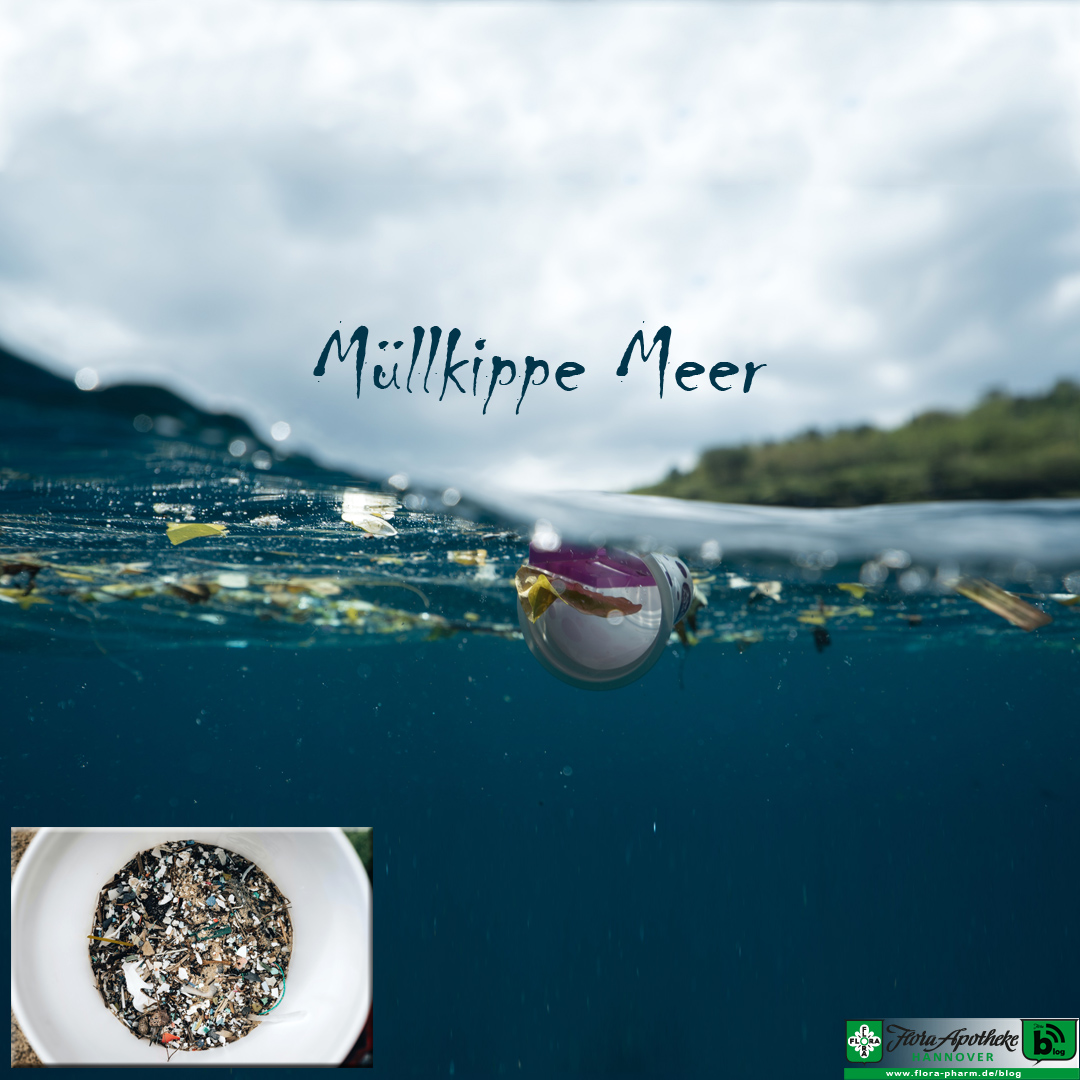 müllkippe meer