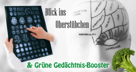 Gedächtnis - der Blick ins Oberstübchen und grüne Booster