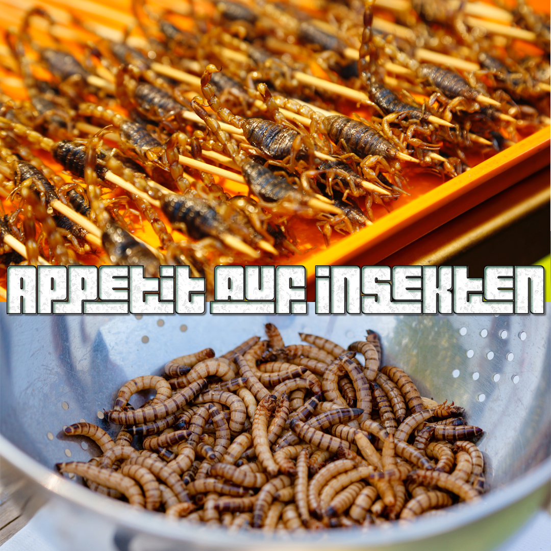 Appetit auf Insekten