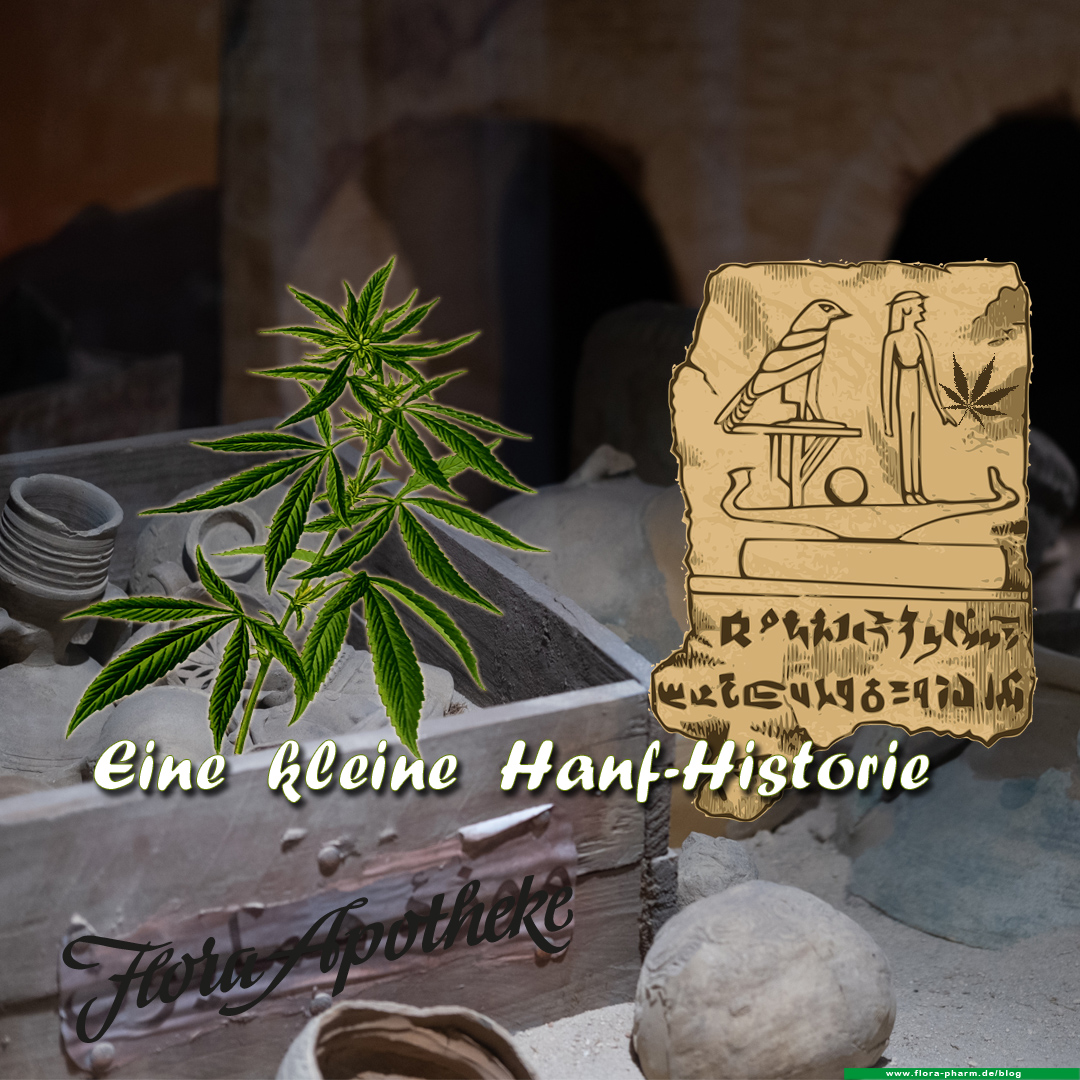 Die Geschichte des Hanf (Cannabis/CBD)