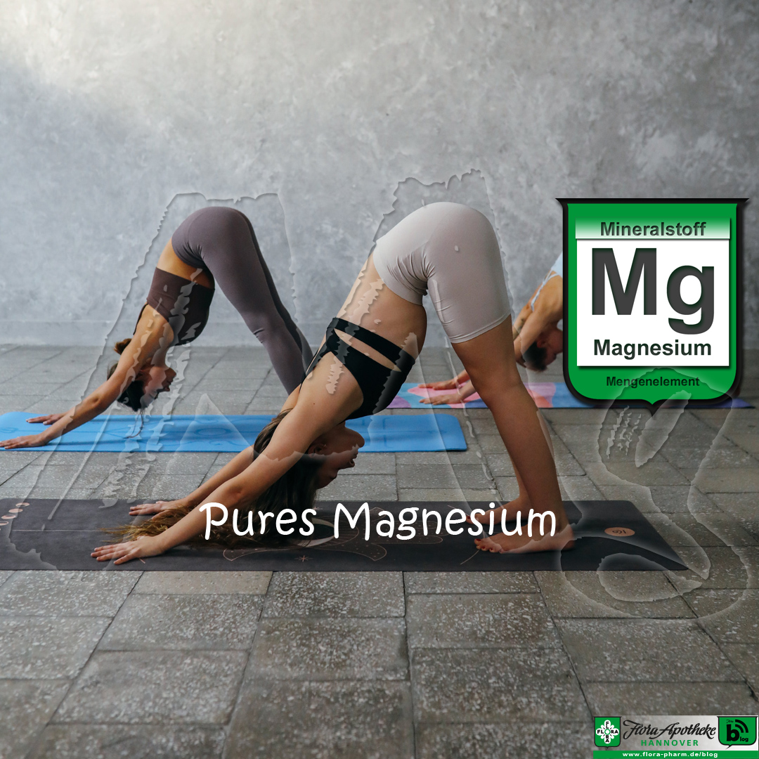 Magnesium pur