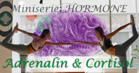 Adrenalin und Cortisol | Aus unserer Miniserie: Hormone