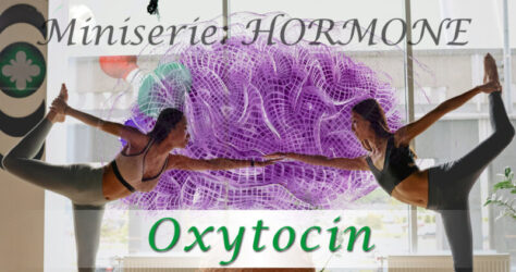 Oxytocin | Aus unserer Miniserie: Hormone