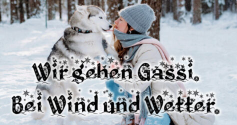 gassi gehen bei wind und wetter