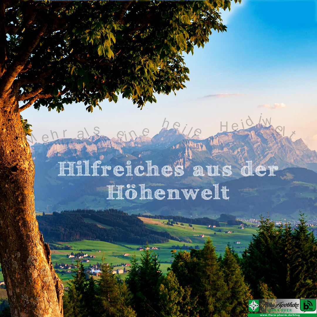 Hilfreiches aus der Heidi Höhenwelt