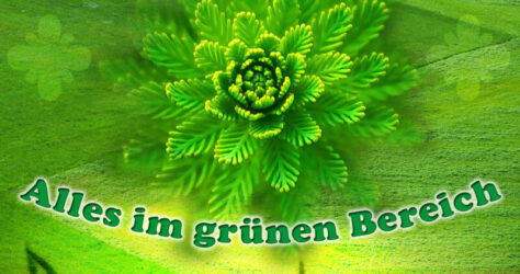 Grün - Alles im grünen Bereich