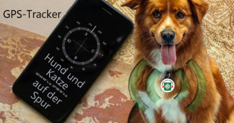 GPS-Tracker für Hund und Katze - Ortung von Tieren. Im Bild sind vor eineer Landkarte ein Handy mit Kompass und ein Hund mit einem Chip um den Hals zu sehen