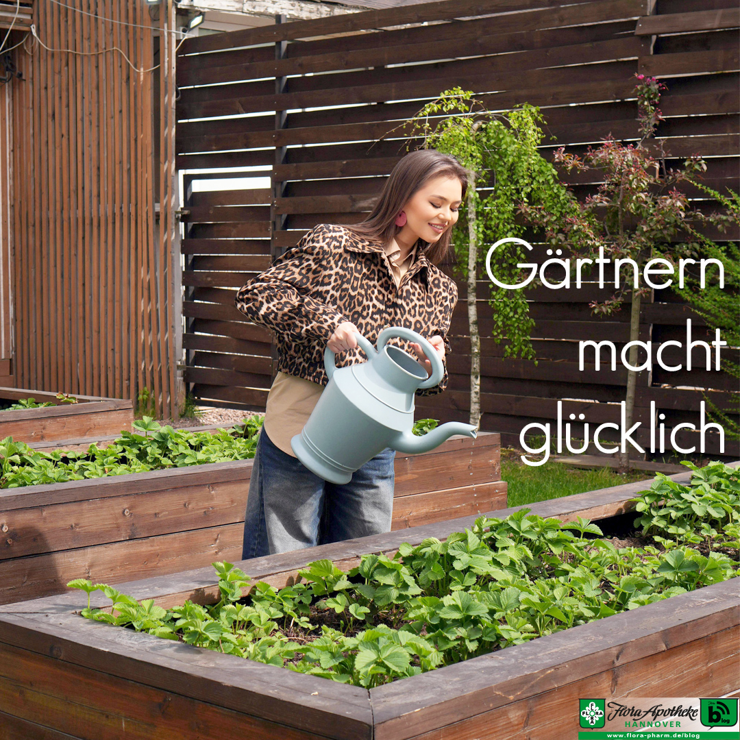Eine glücklich wirkende Frau gießt Pflanzen in einem Hochbeet mit einer Gießkanne
