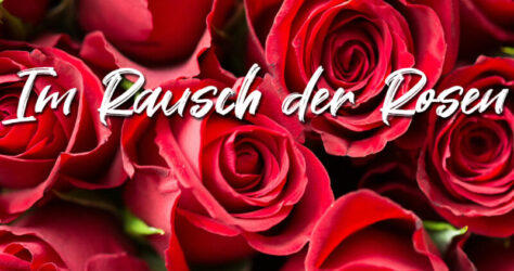 Eine Aufsicht auf einen Strauß roter Rosen. Text: Im Rausch der Rosen