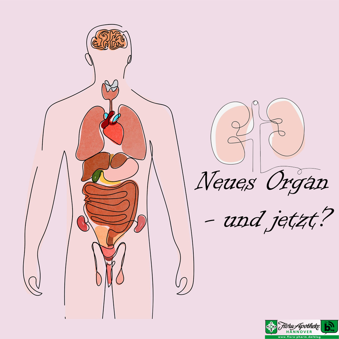 Es geht um die Frage, wie das Leben nach einer Transplantation weiteergeht. Als optischen Teaser ist hier ein stylistisch und transparent gezeichneter Körper mit den Orgaanen zu sehen. Daneben noch zwei Nieren, welche die am häufigsten transplantierten Organe sind.