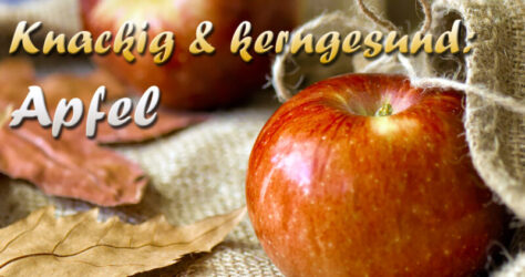 Knackig und kerngesund - der Apfel. Knackige, rotbackige Äpfel liegen neben Herbstlaub auf einem Säckchen