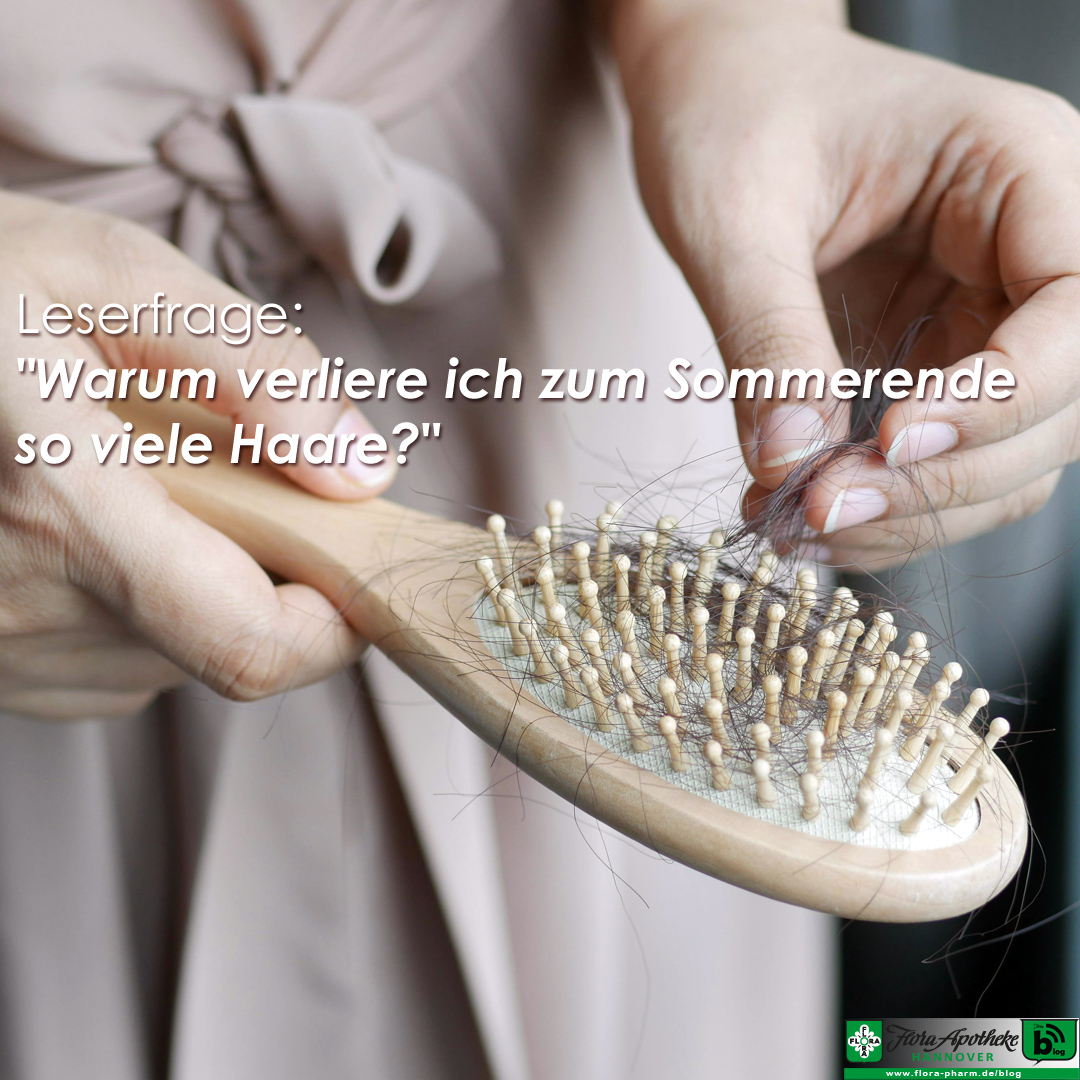 Warum verliere ich zum Sommerende so viele Haare? Diese Leserfrage wird visualisiert durch eine Bürste, in der sich viele Haare verfangen haben