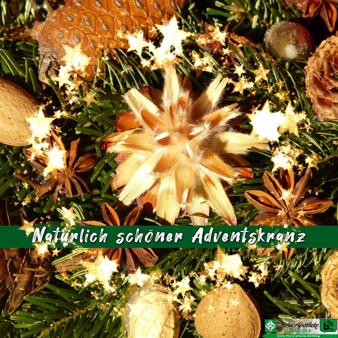 Der Schriftzug vor Tannengrün und Zapfen sowie Nüssen sagt: Natürlich schöner Adventskranz. Im Text gibt es DIY-Tipps